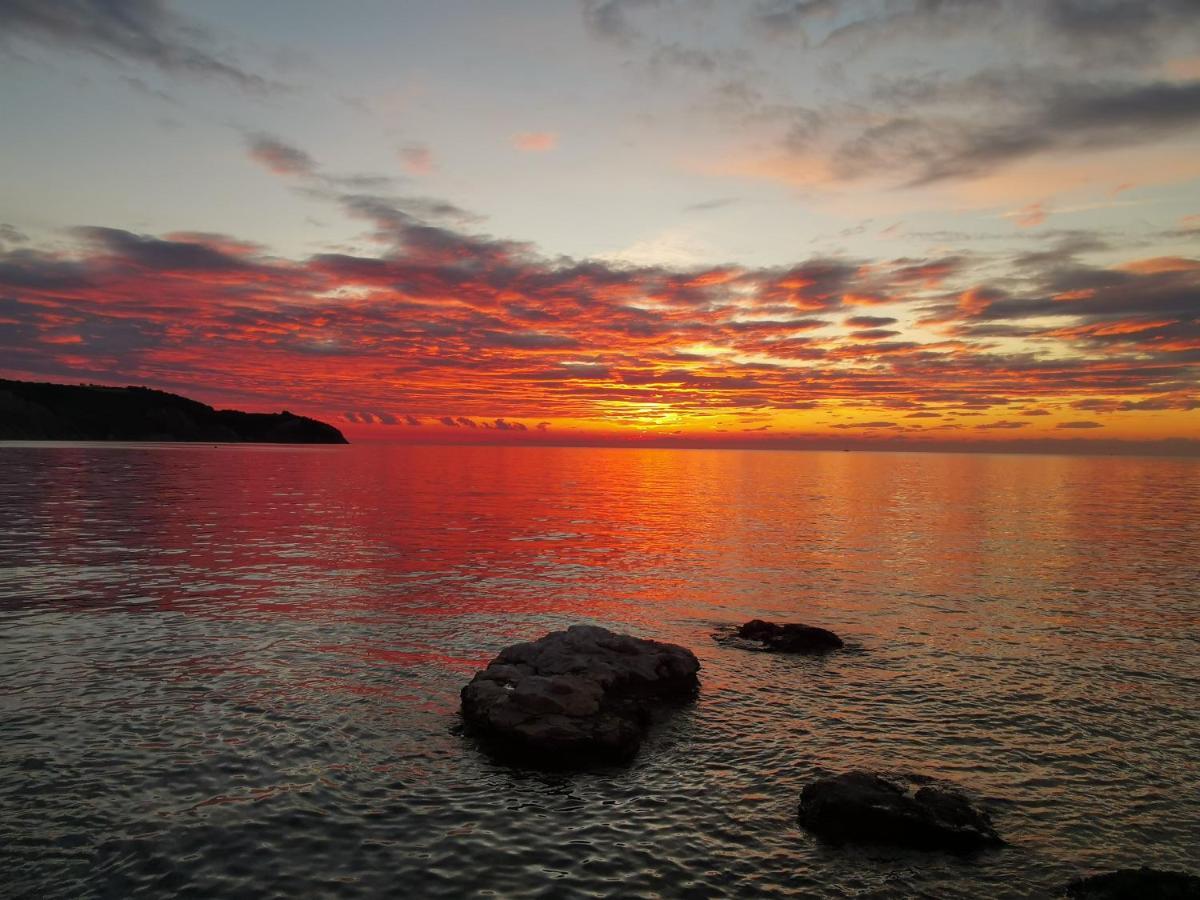 Apartma D&d Izola
